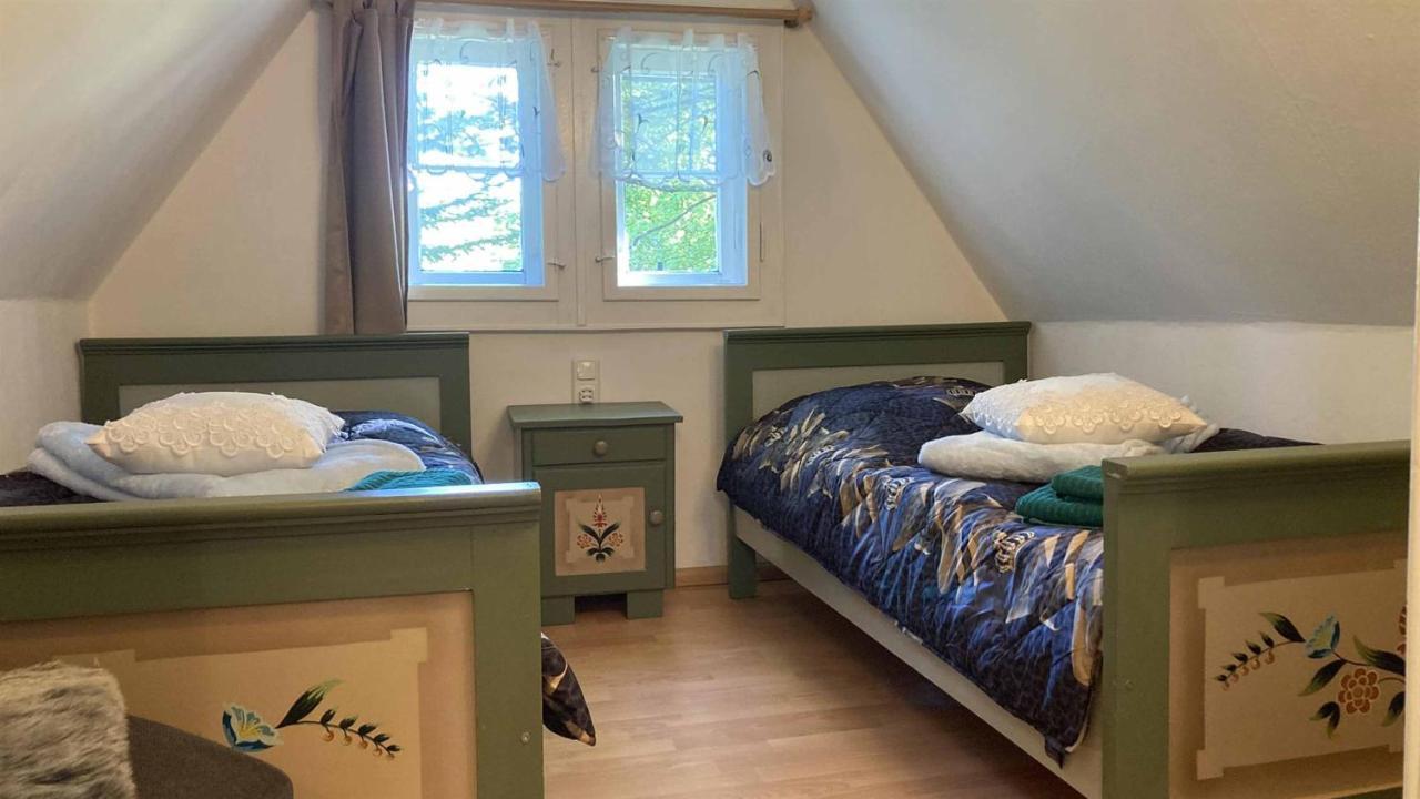 Pension Zur 23 Altenberg  Esterno foto