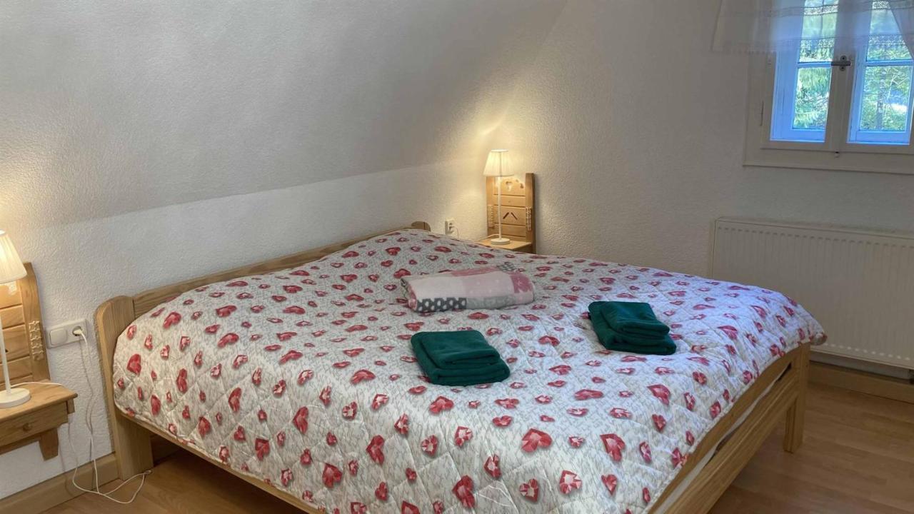Pension Zur 23 Altenberg  Esterno foto
