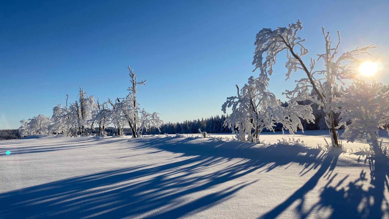 Pension Zur 23 Altenberg  Esterno foto